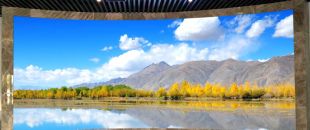 “海外客戶最關(guān)心的LED屏參數(shù):不是分辨率，而是這個(gè)..